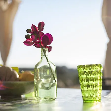 Trullo Degli Ulivi Ostuni