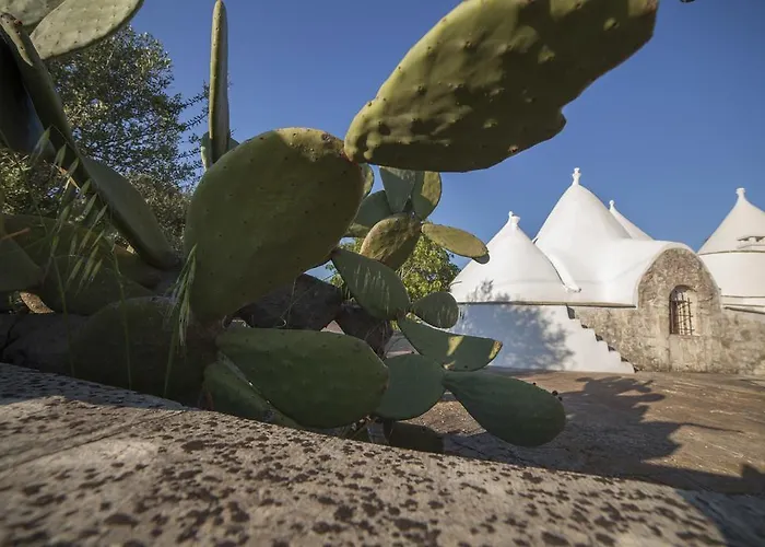 Vakantiehuis Trullo Degli Ulivi