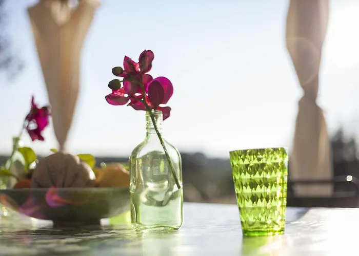 Trullo Degli Ulivi Ostuni